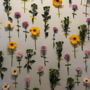 Meet your Posher, Cm